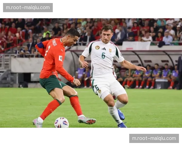 勒沃库森阵容年龄结构合理 年轻球员成长曲线符合长期发展预期 勒沃库森阵容年龄结构合理 年轻球员成长曲线符合长期发展预期